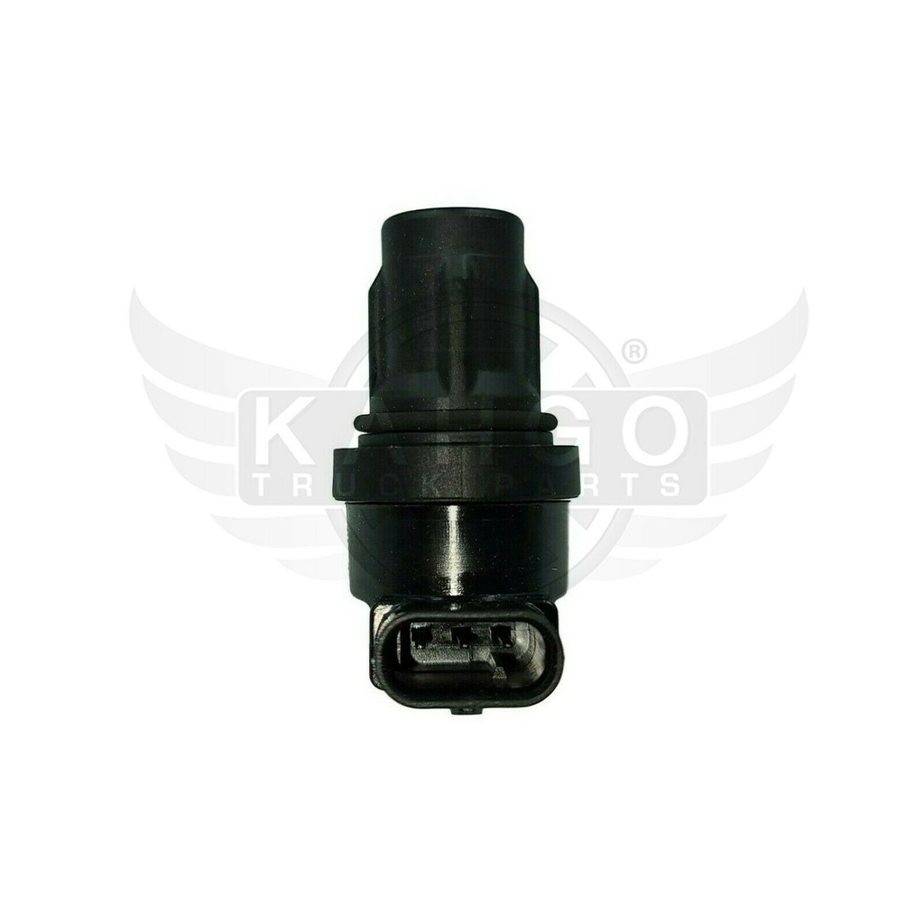 Image-2