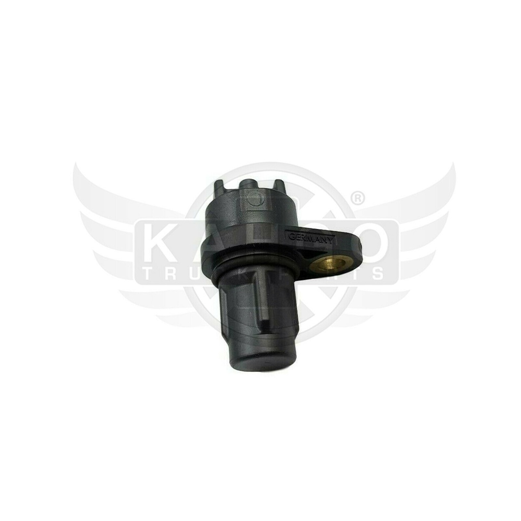 Image-3