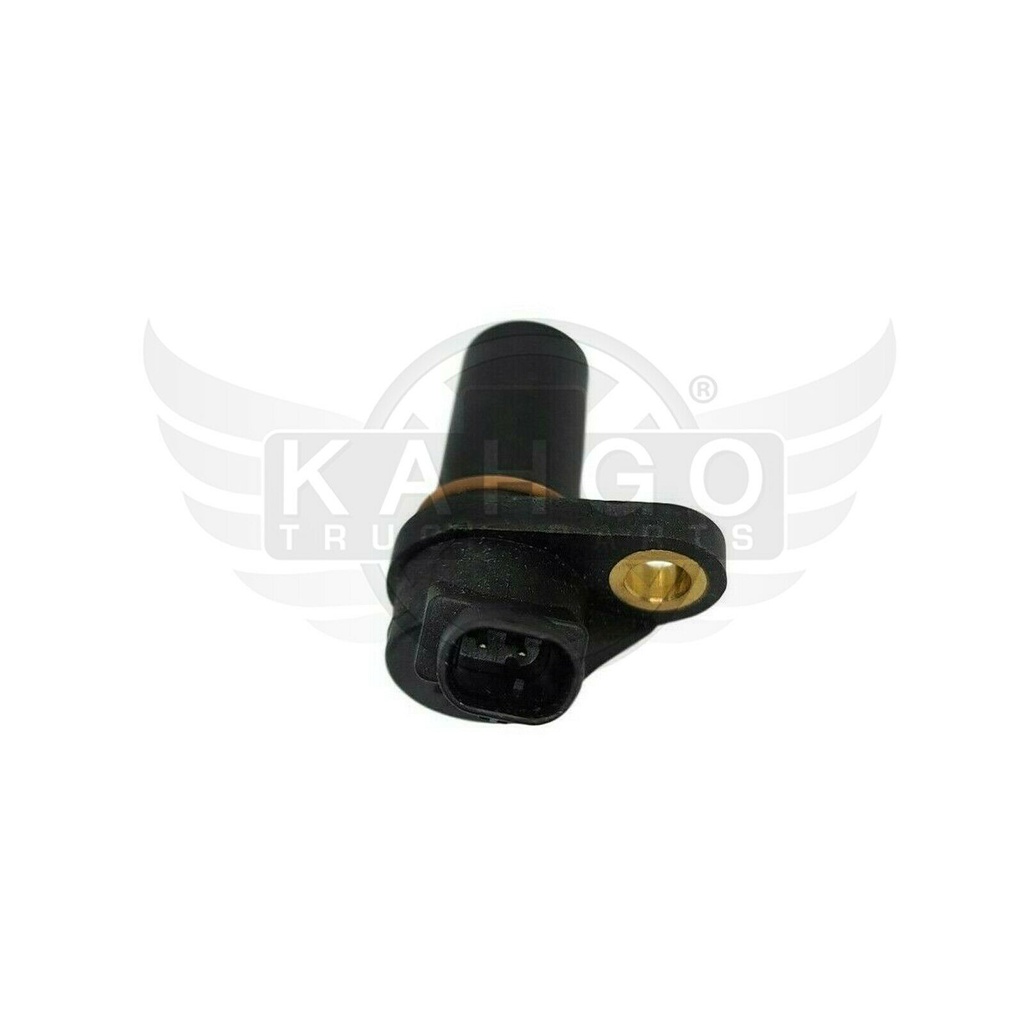Image-1