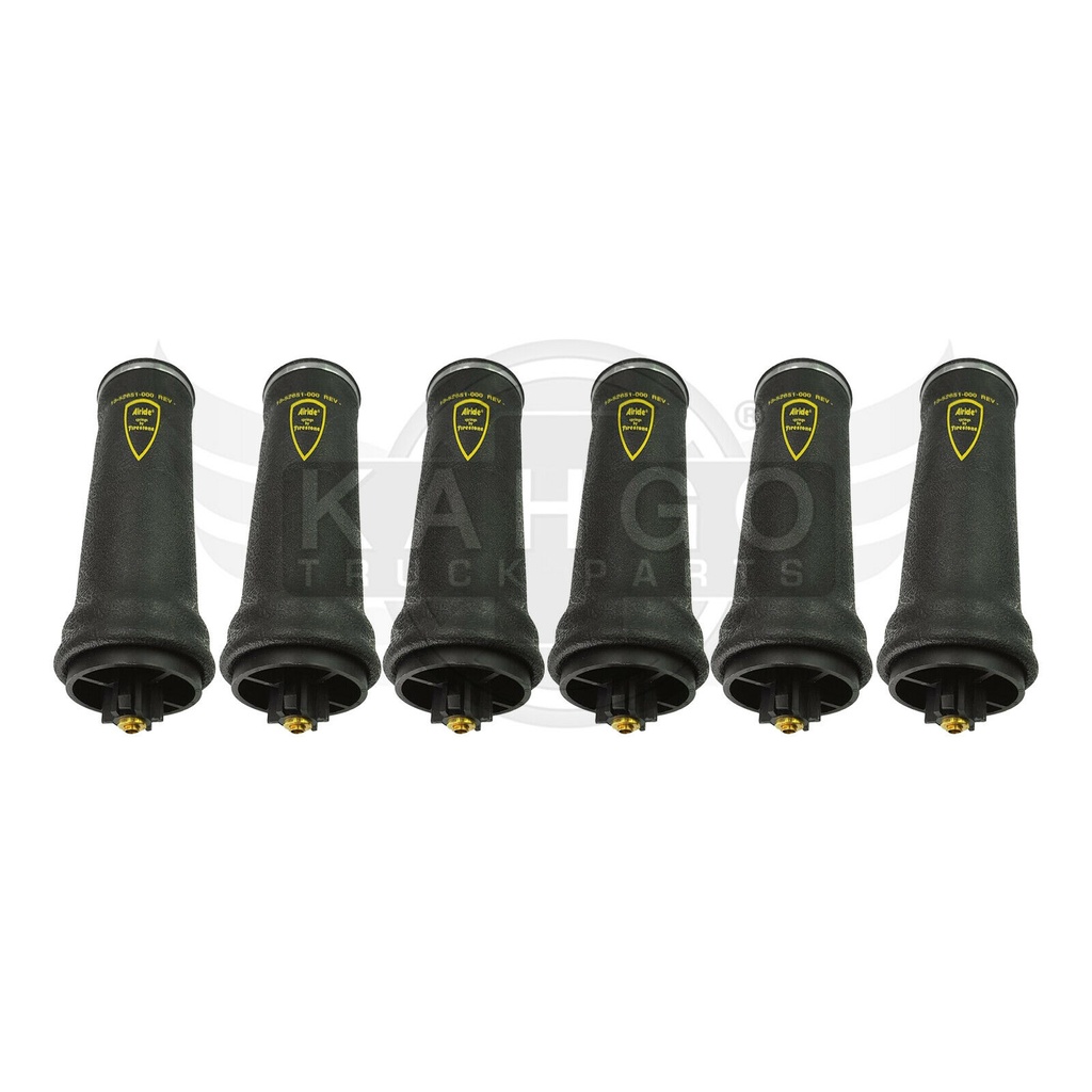 Image-1