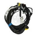 Image-1