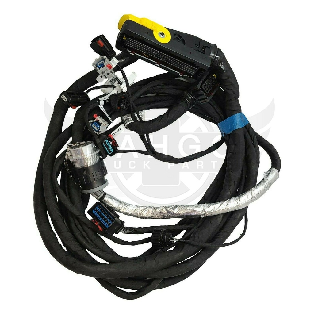 Image-2