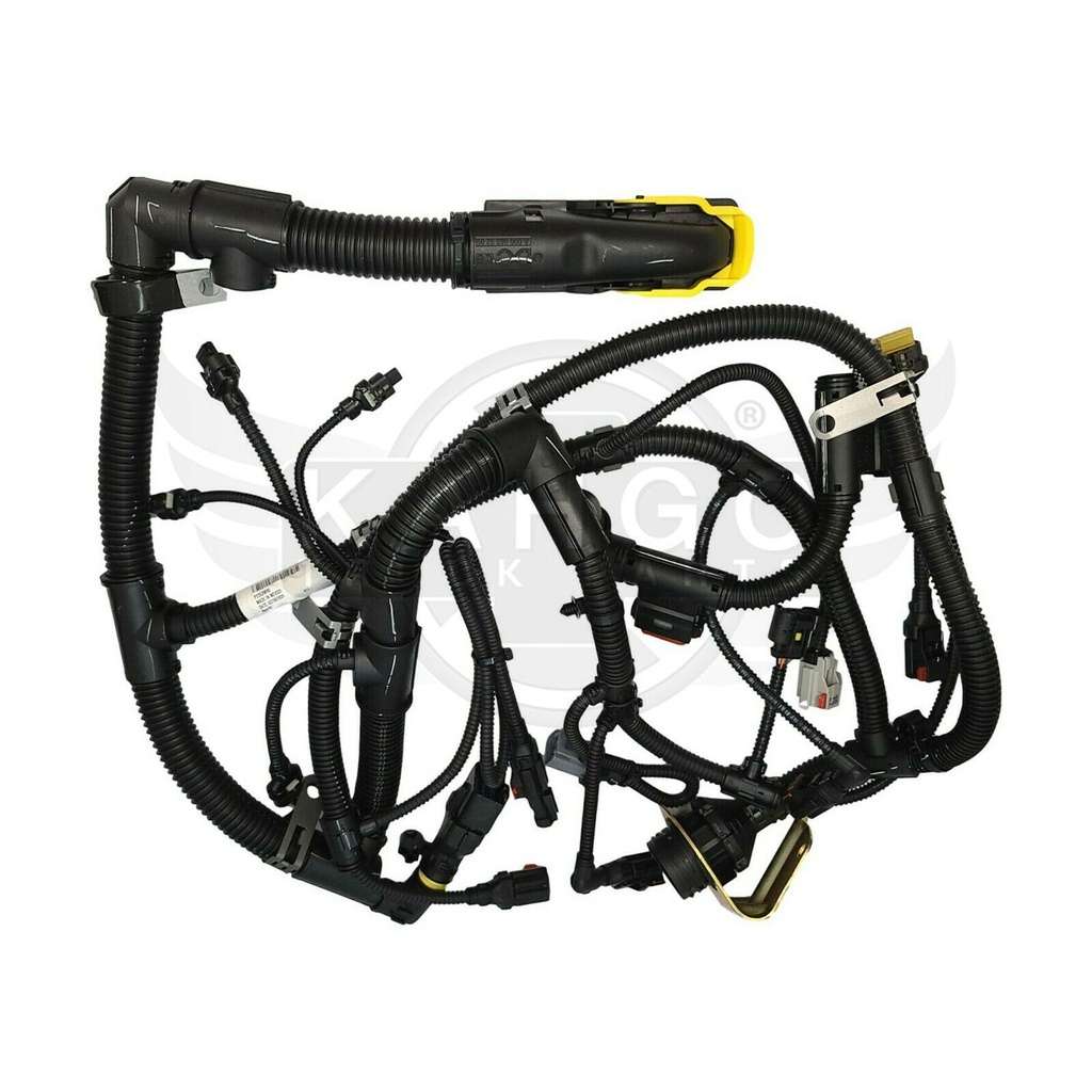 Image-1