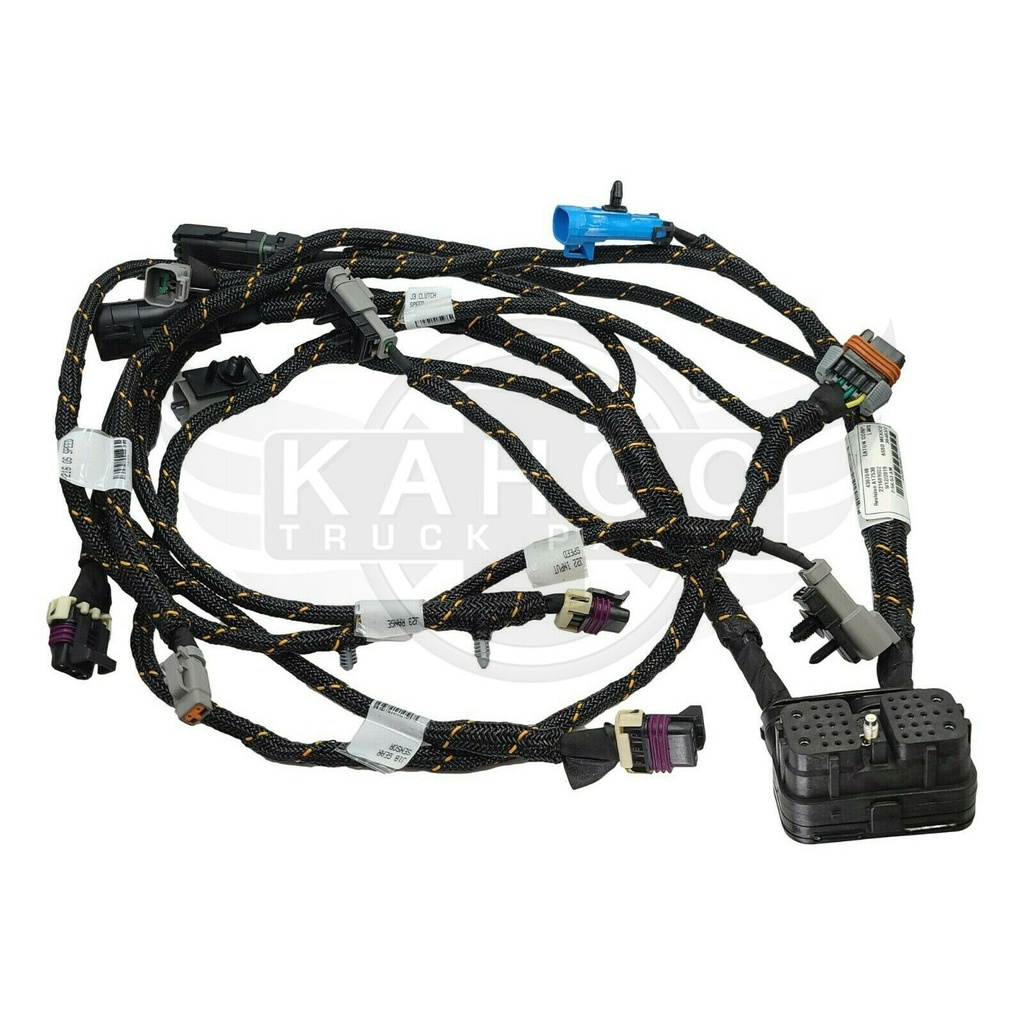 Image-2