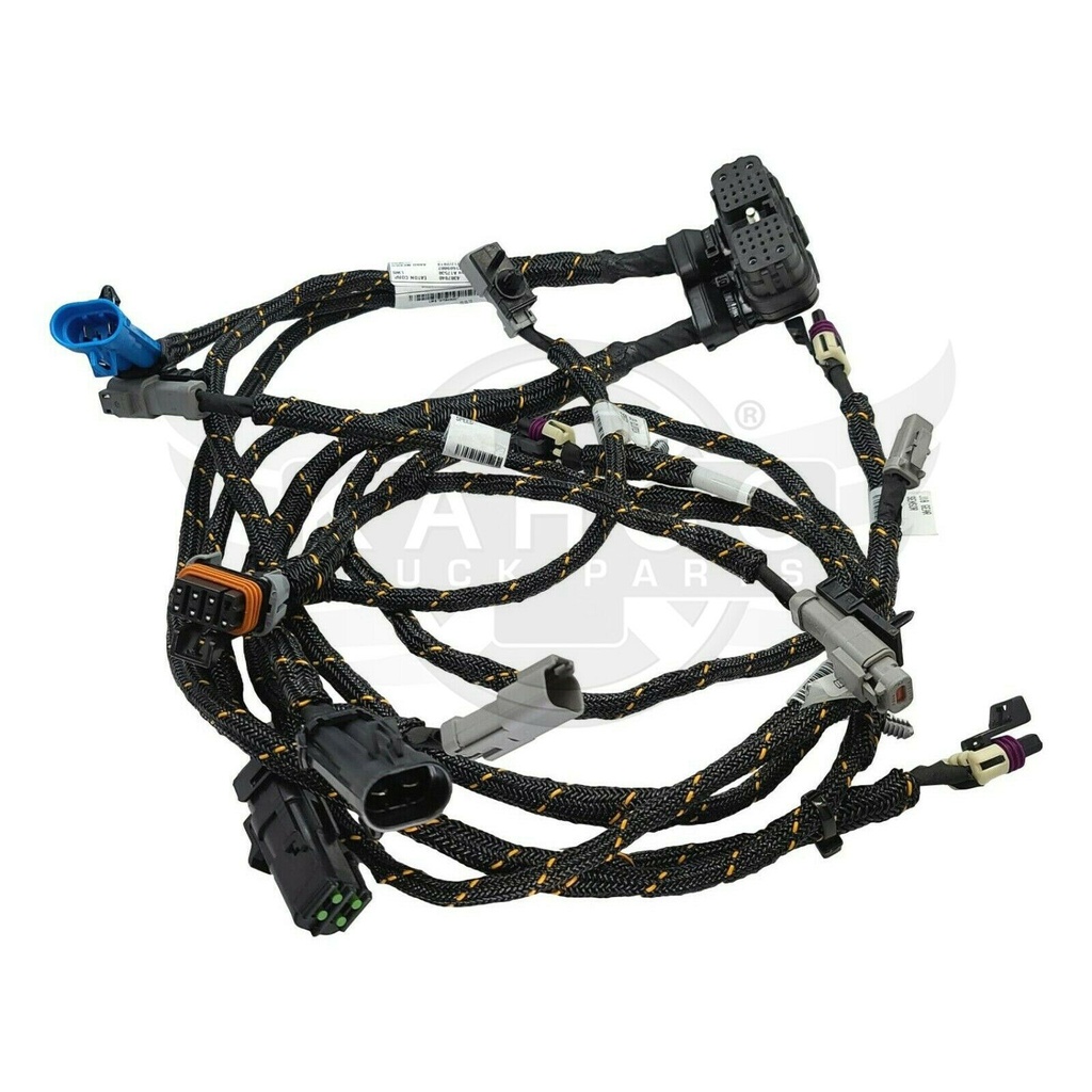 Image-3