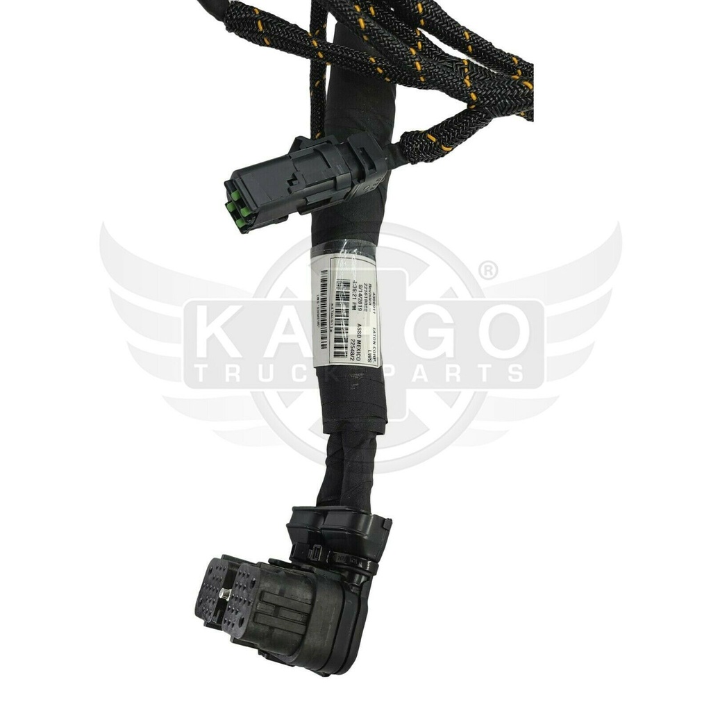 Image-3