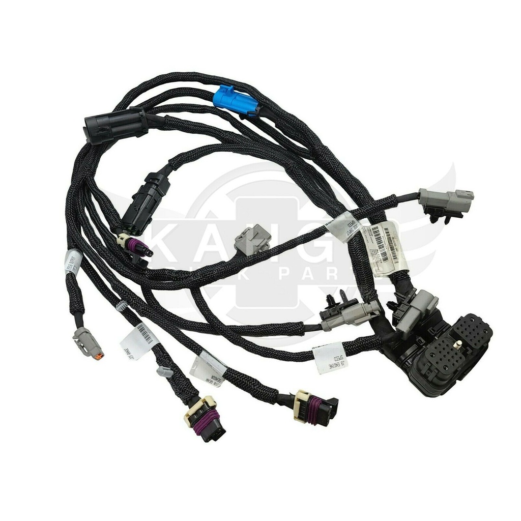 Image-2