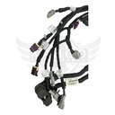 Image-3