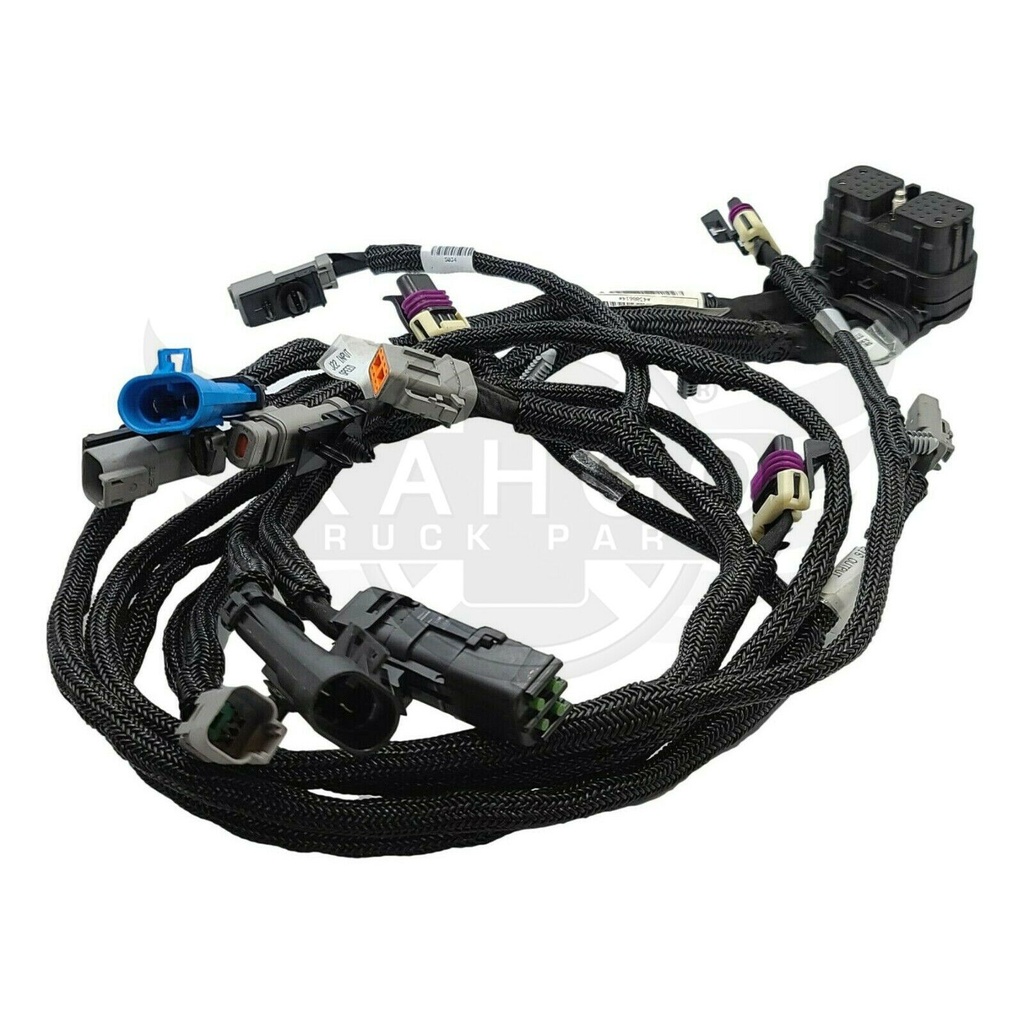 Image-4