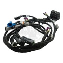 Image-4