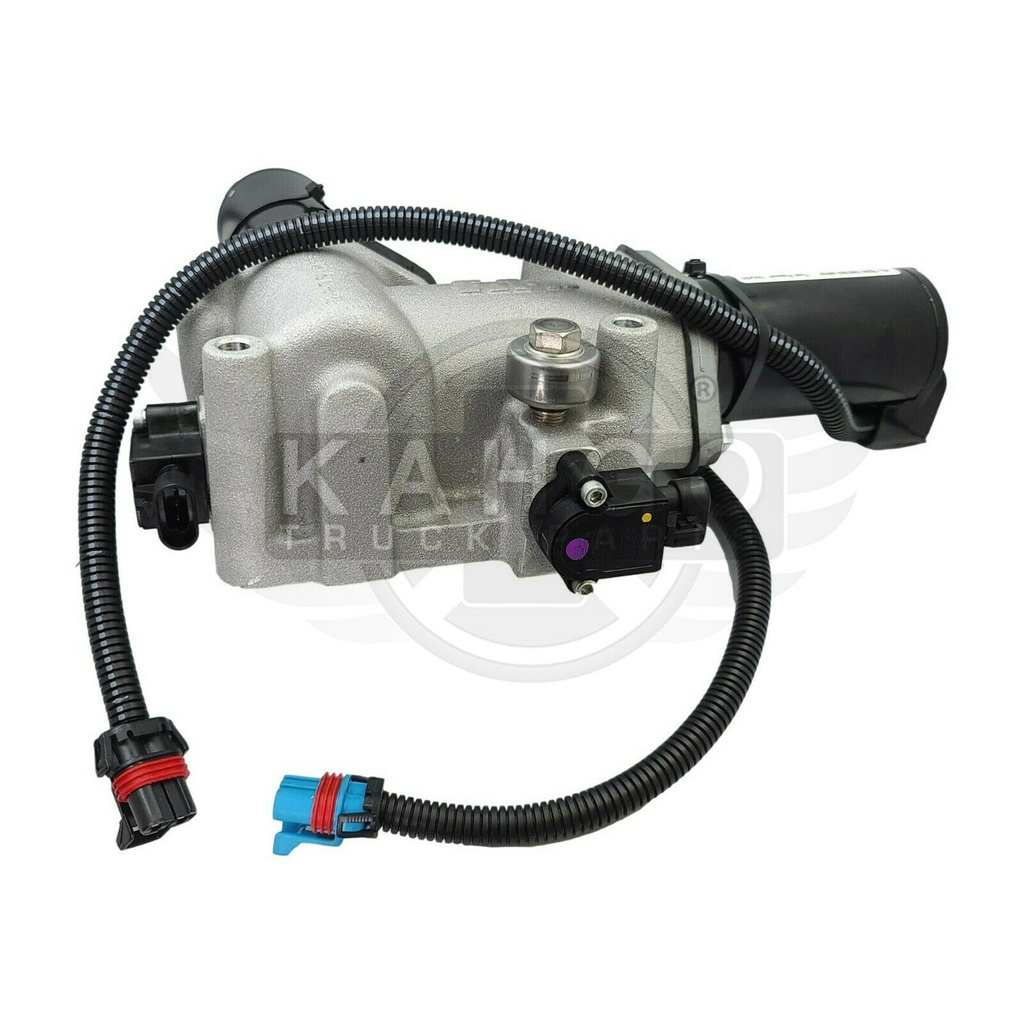 Image-1