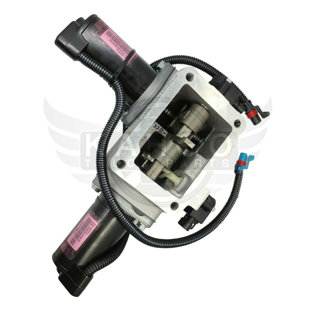 Image-2