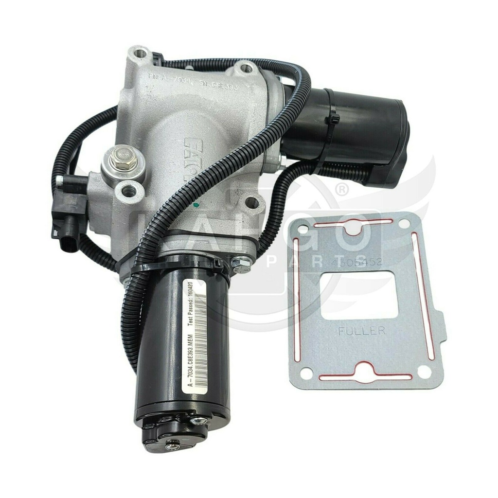 Image-3