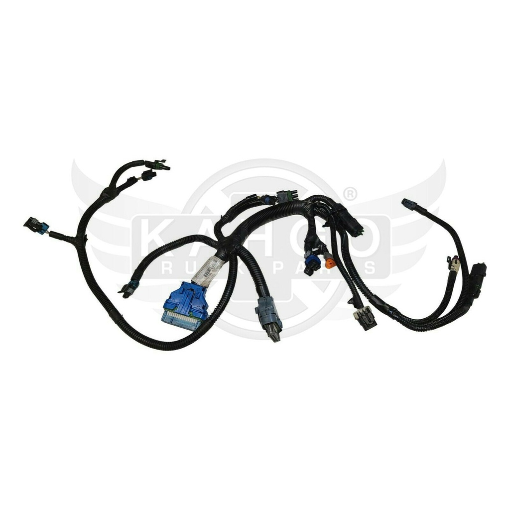Image-1