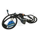 Image-2