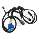 Image-3