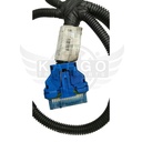 Image-4
