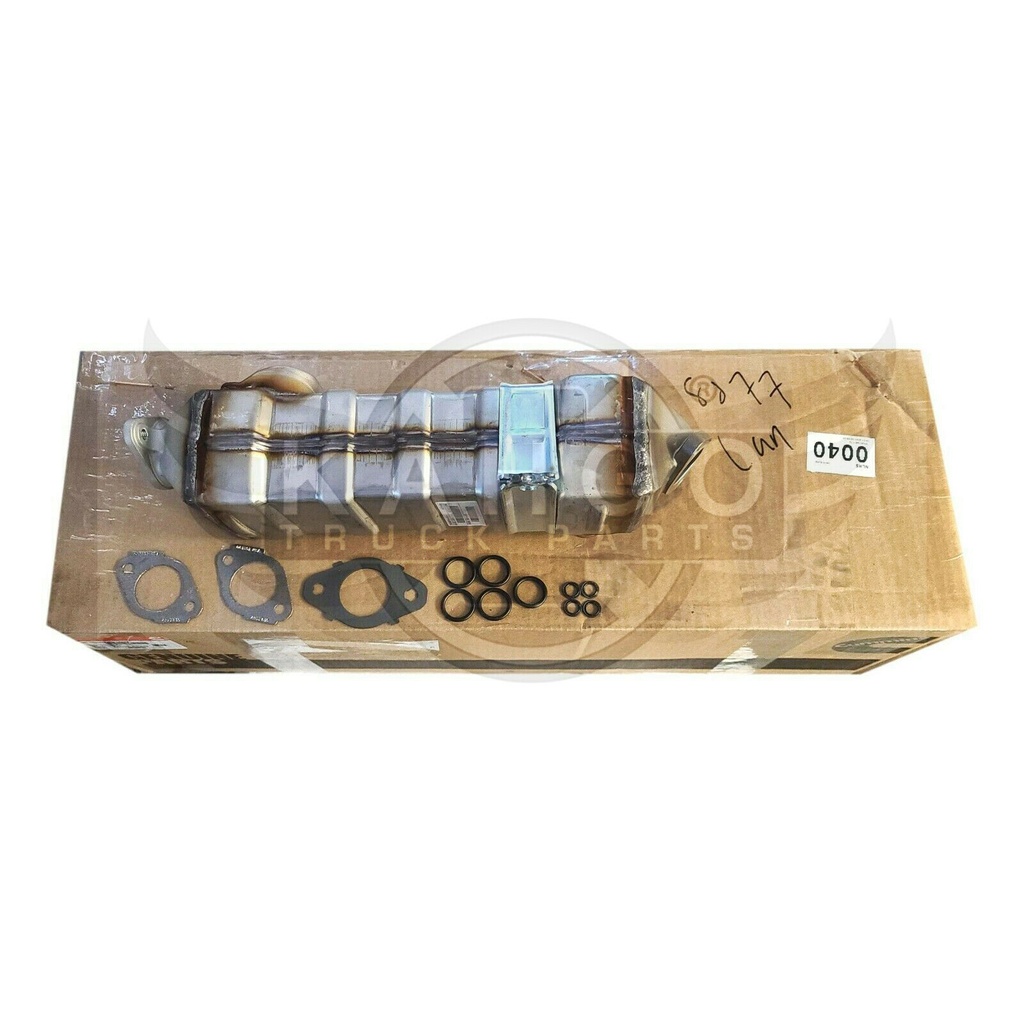 Image-1