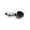Image-2