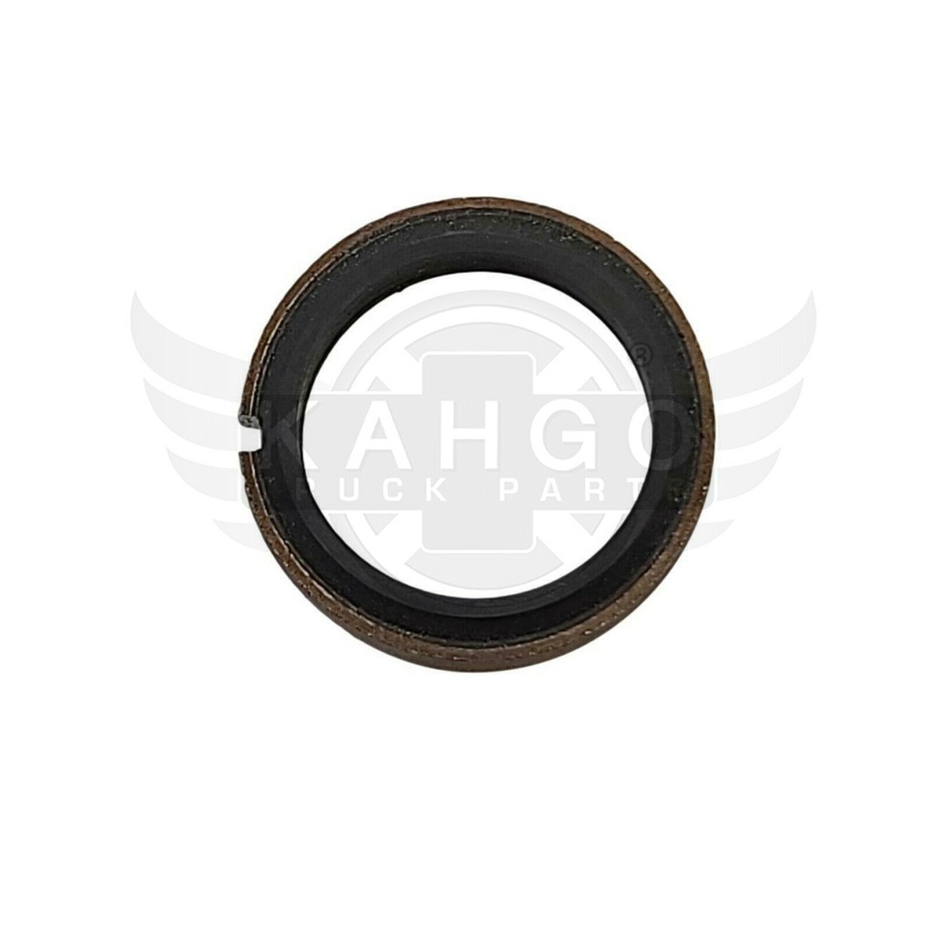 Image-1