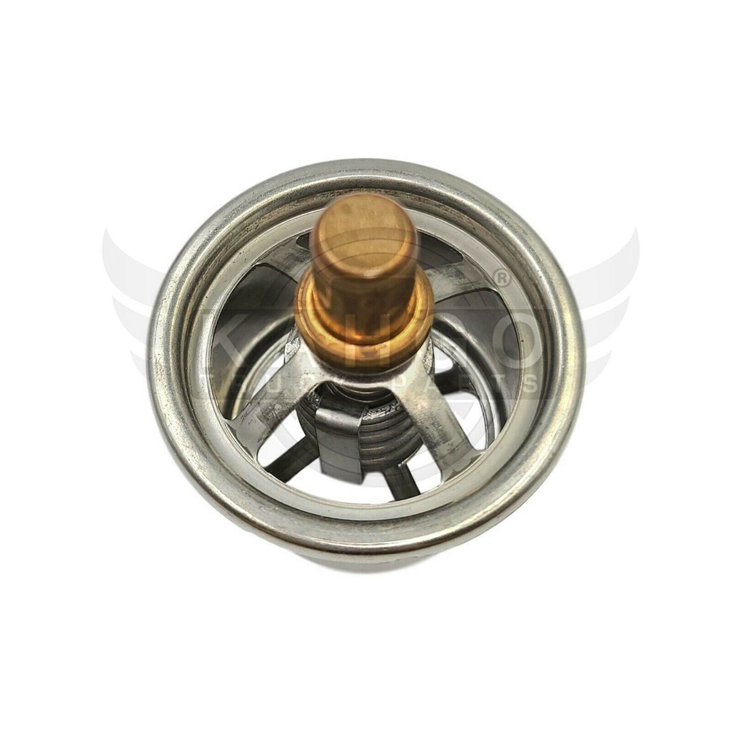 Image-1