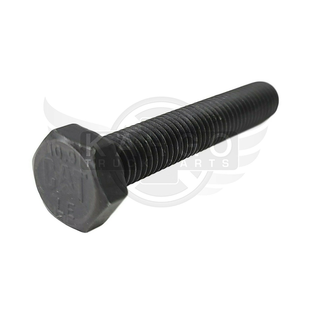 Image-1