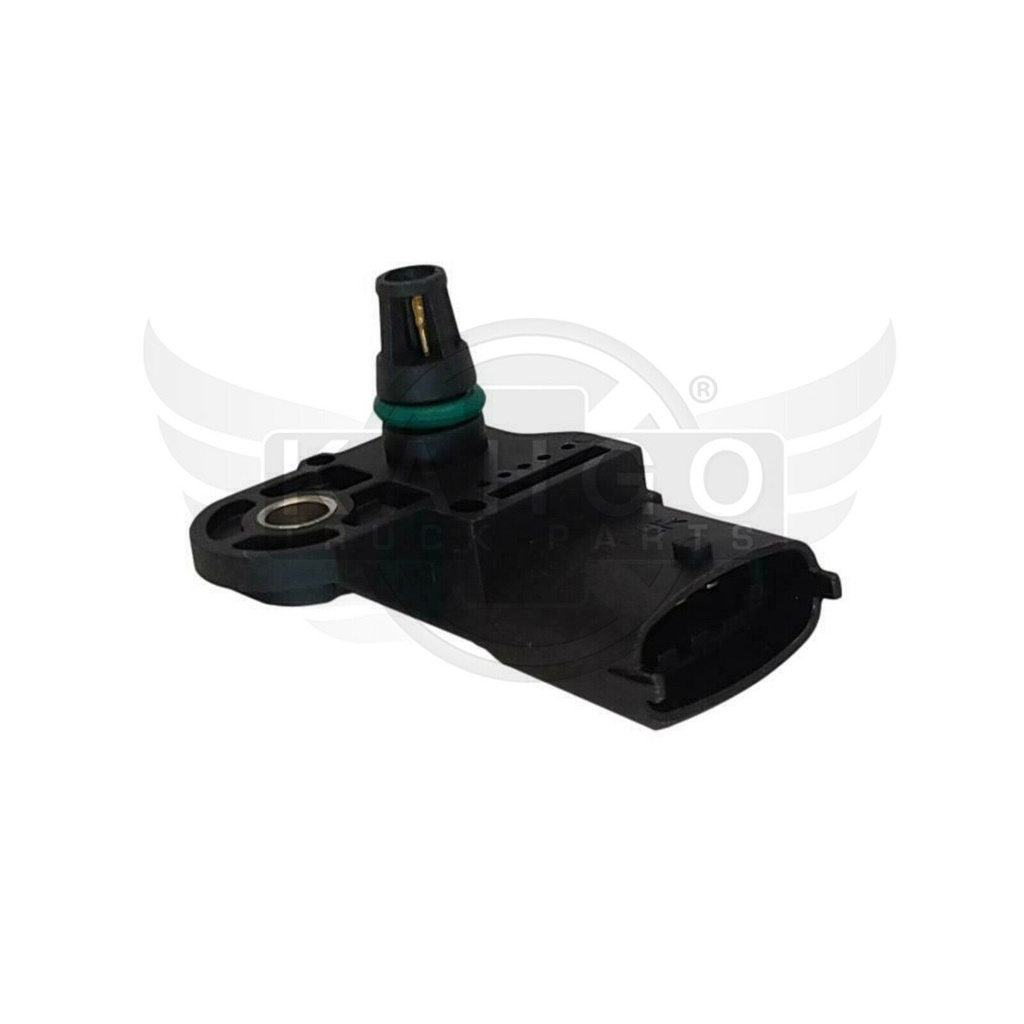 Image-3