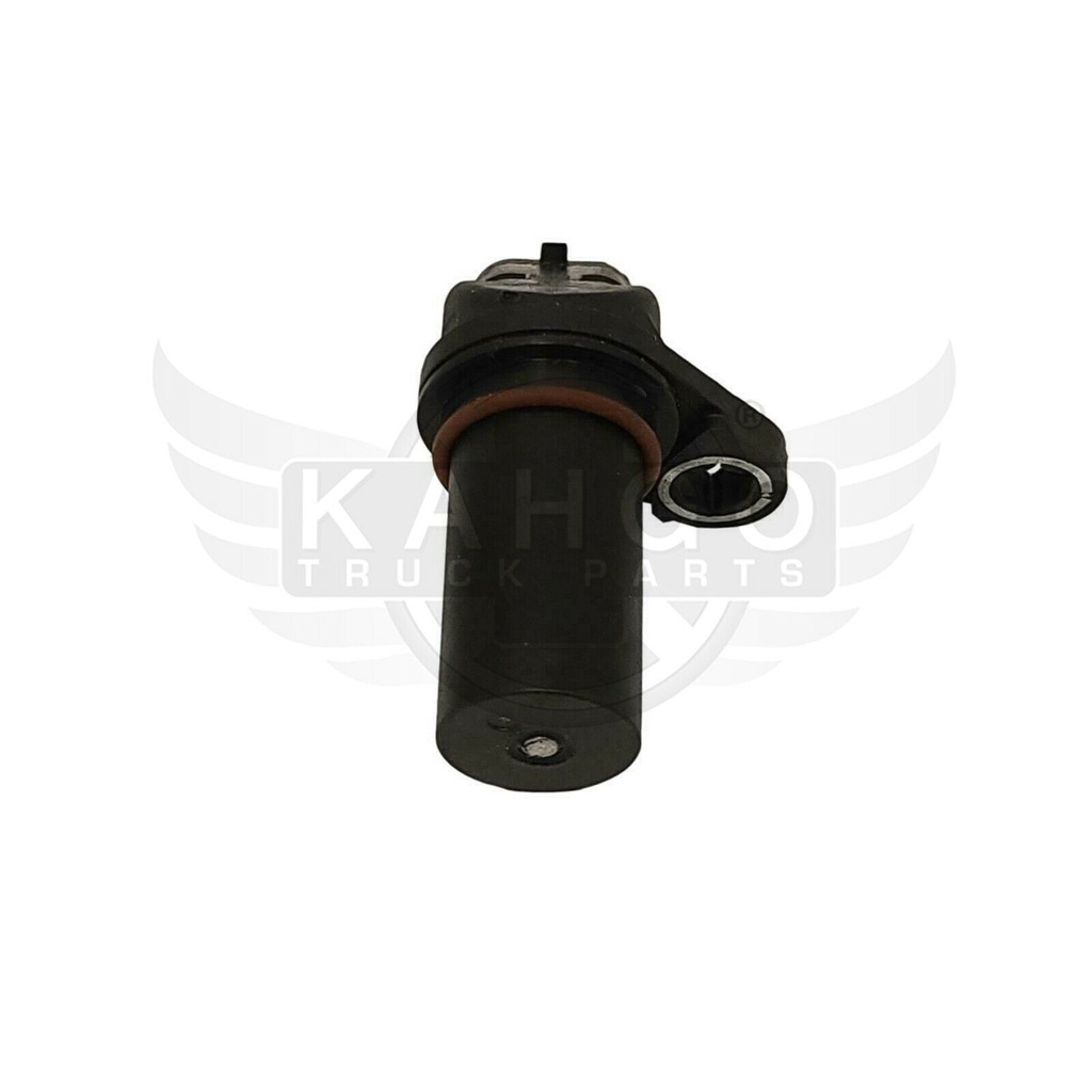 Image-3