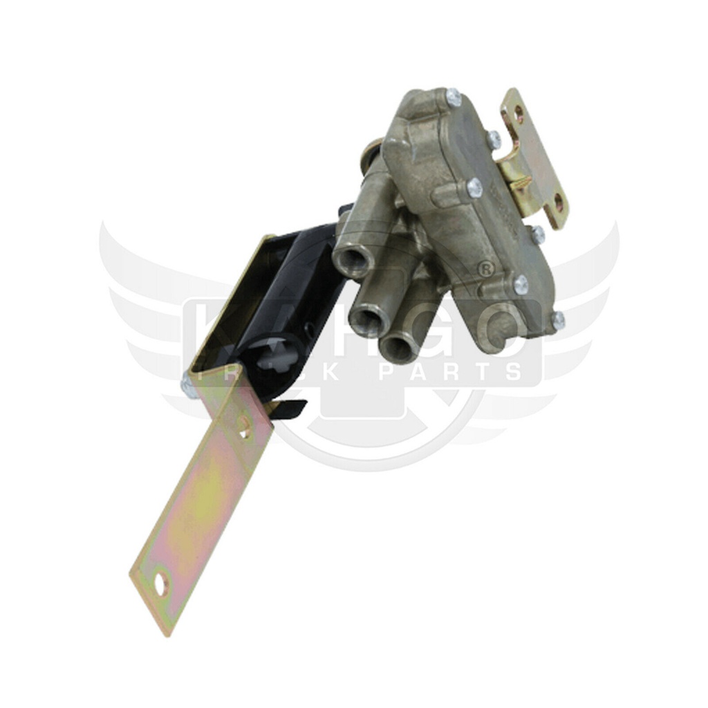 Image-3