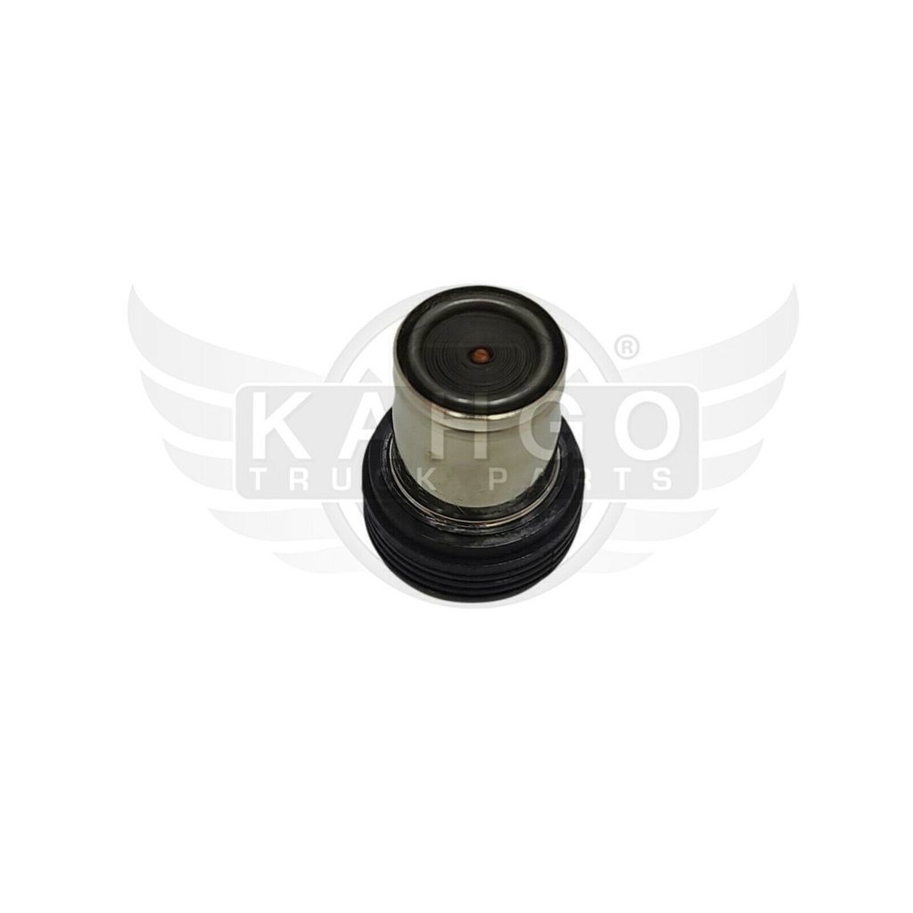 Image-2