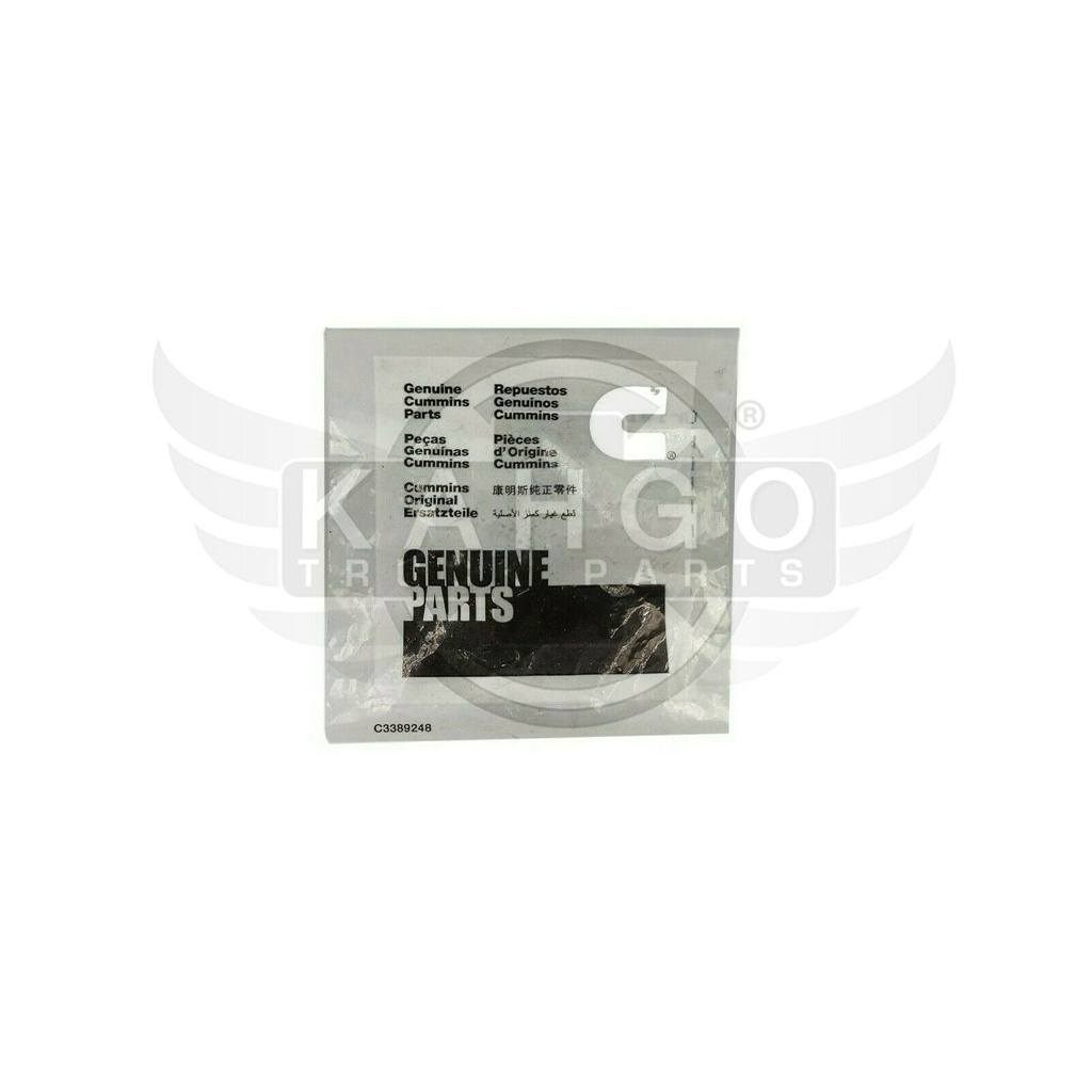 Image-2