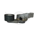 Image-1
