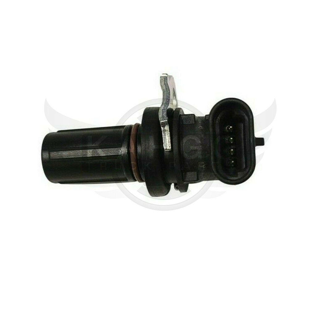 Image-2