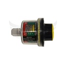 Image-1