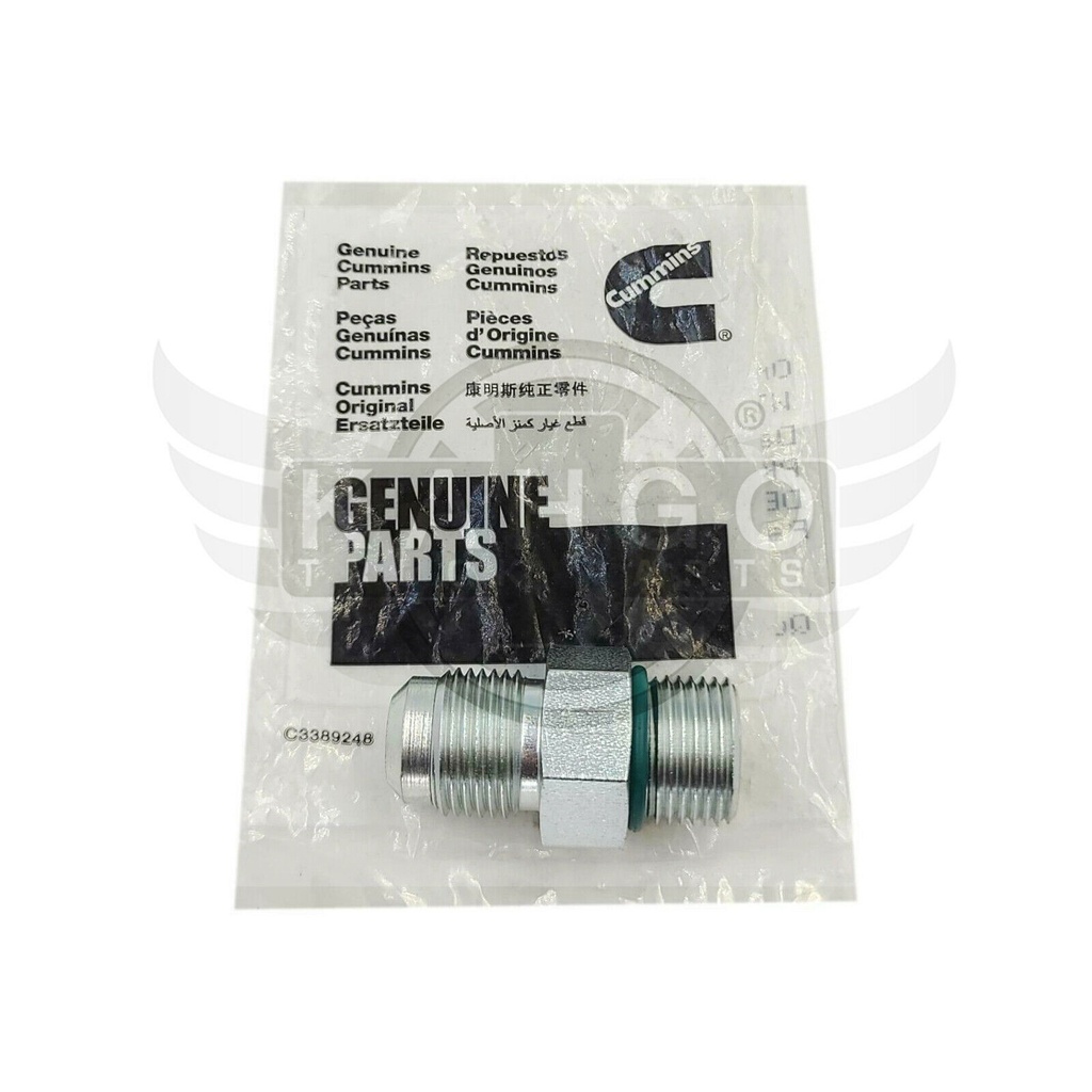 Image-3