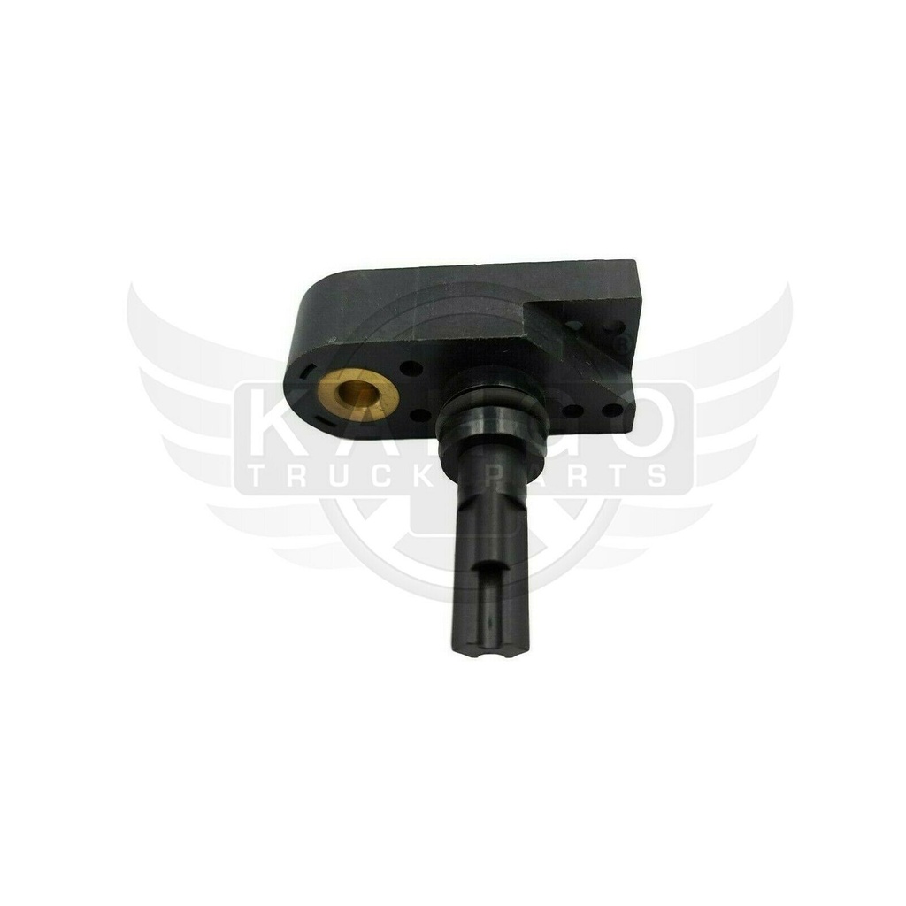 Image-1