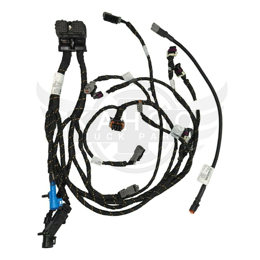 Image-1