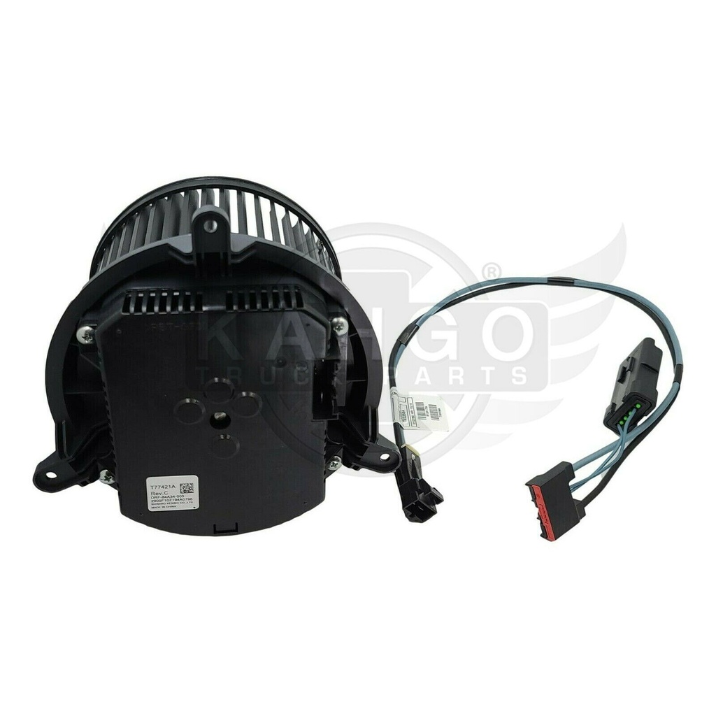 Image-1