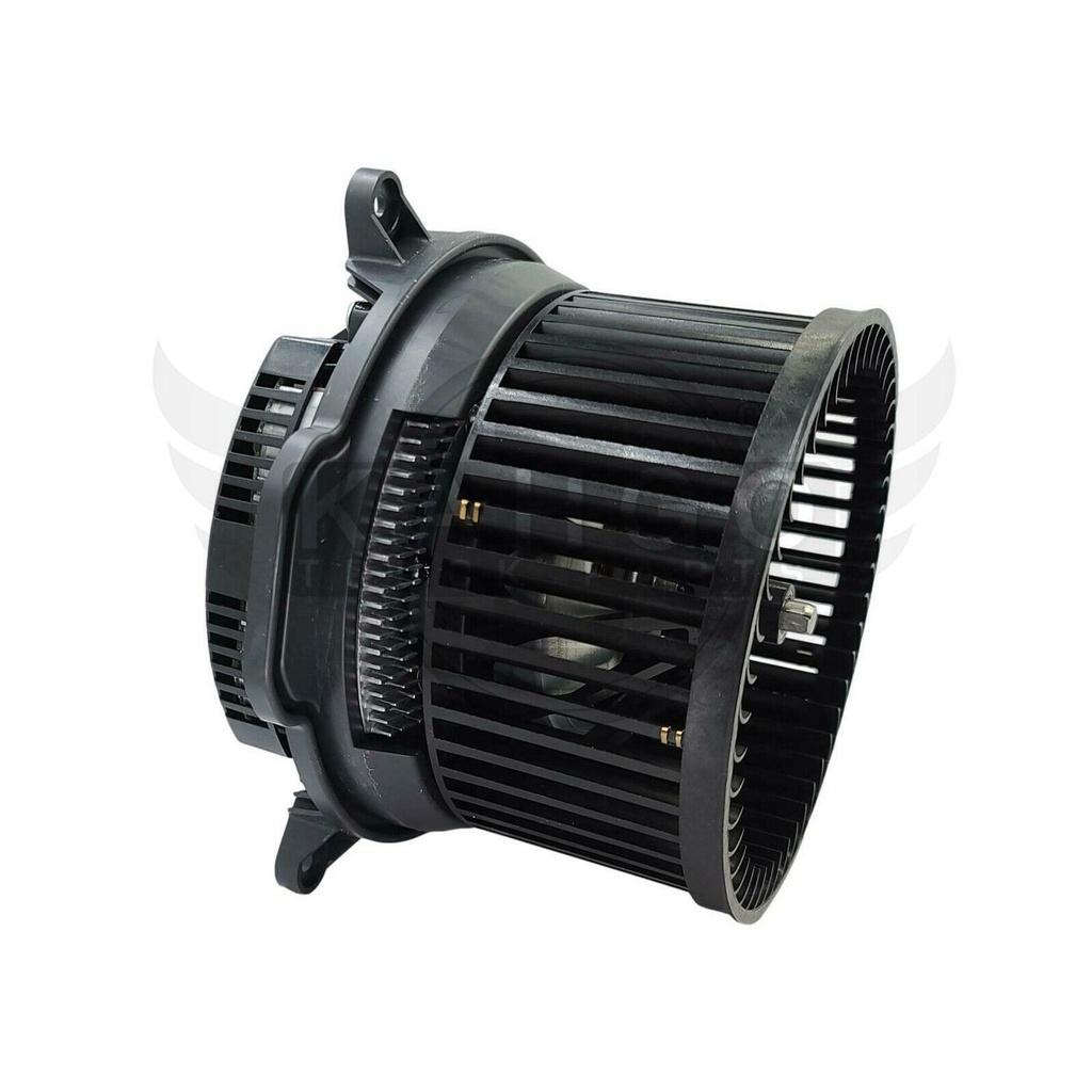 Image-2