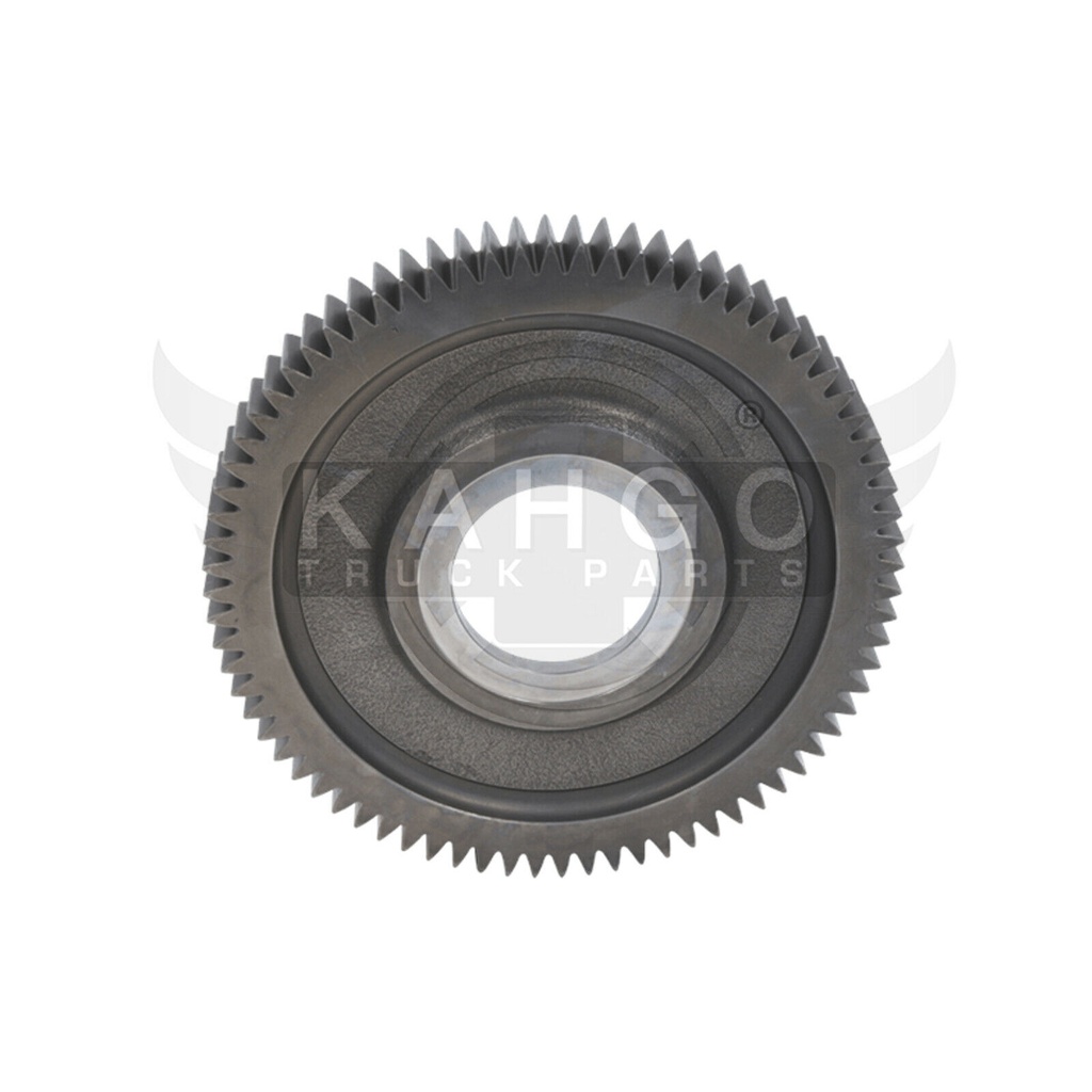 Image-1