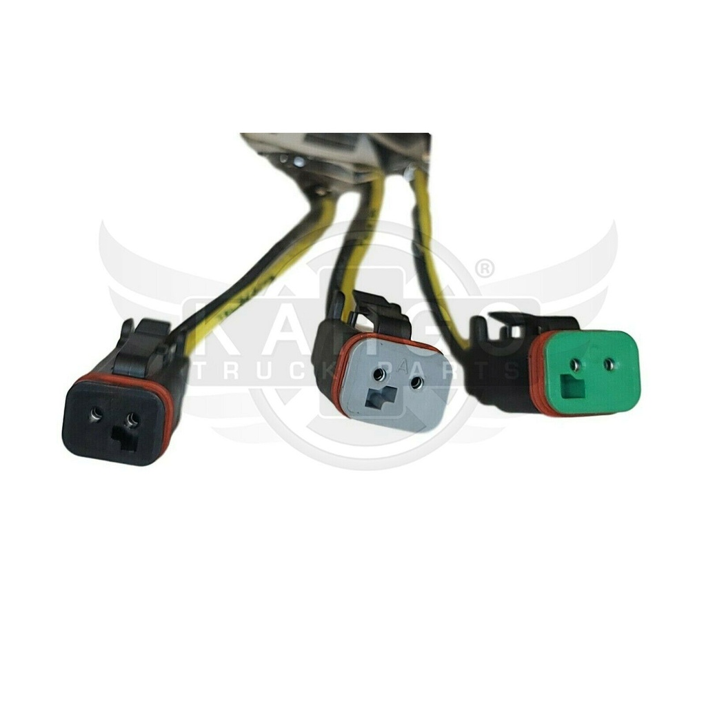 Image-1