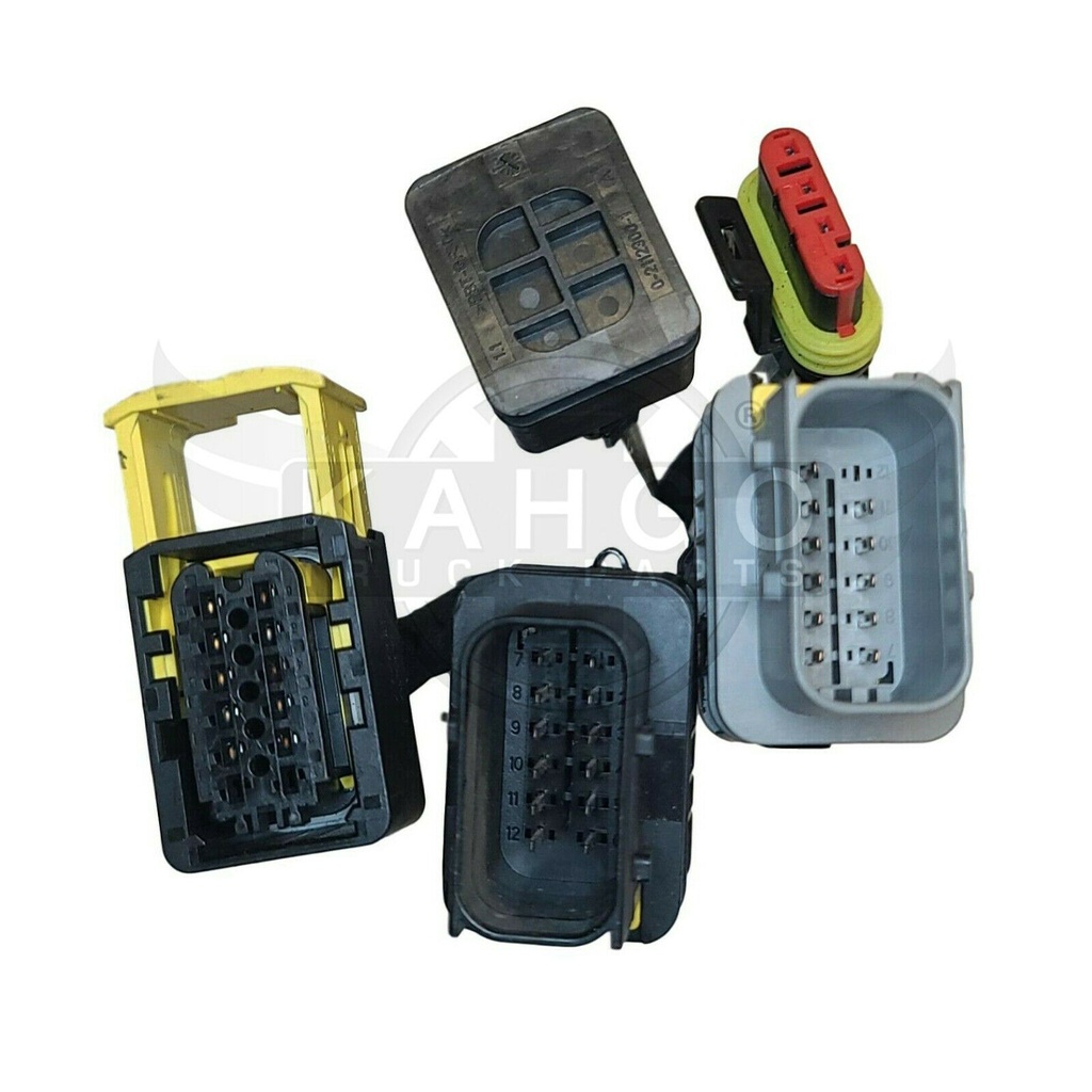 Image-2