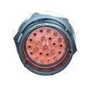 Image-2