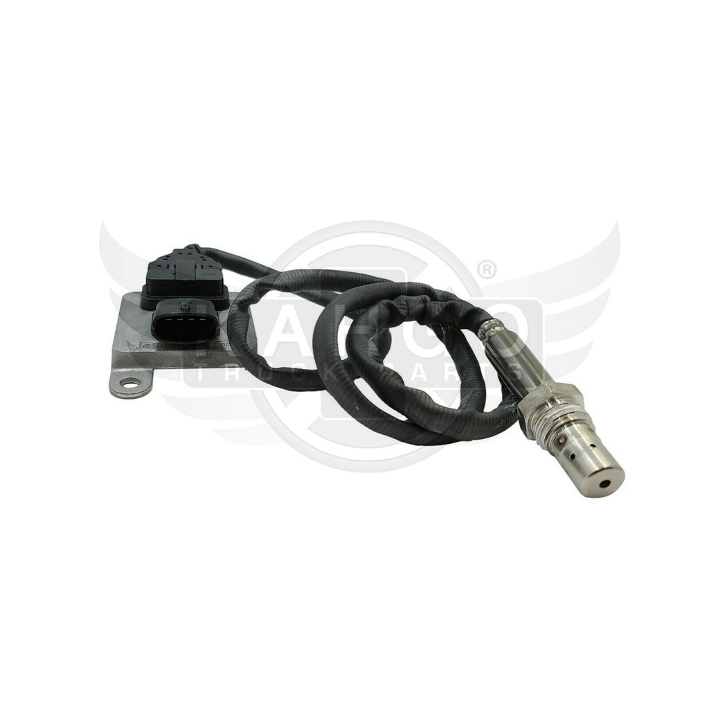 Image-1