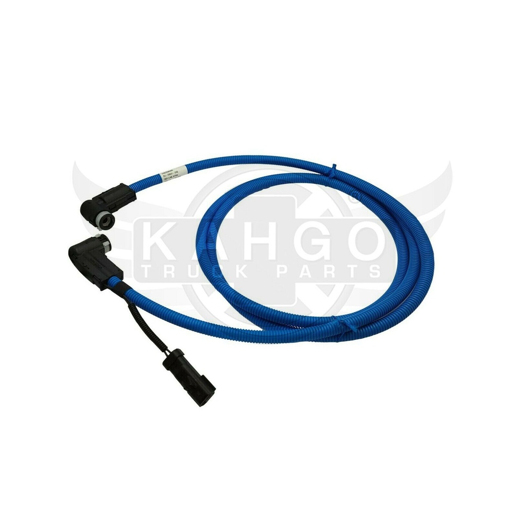 Image-1