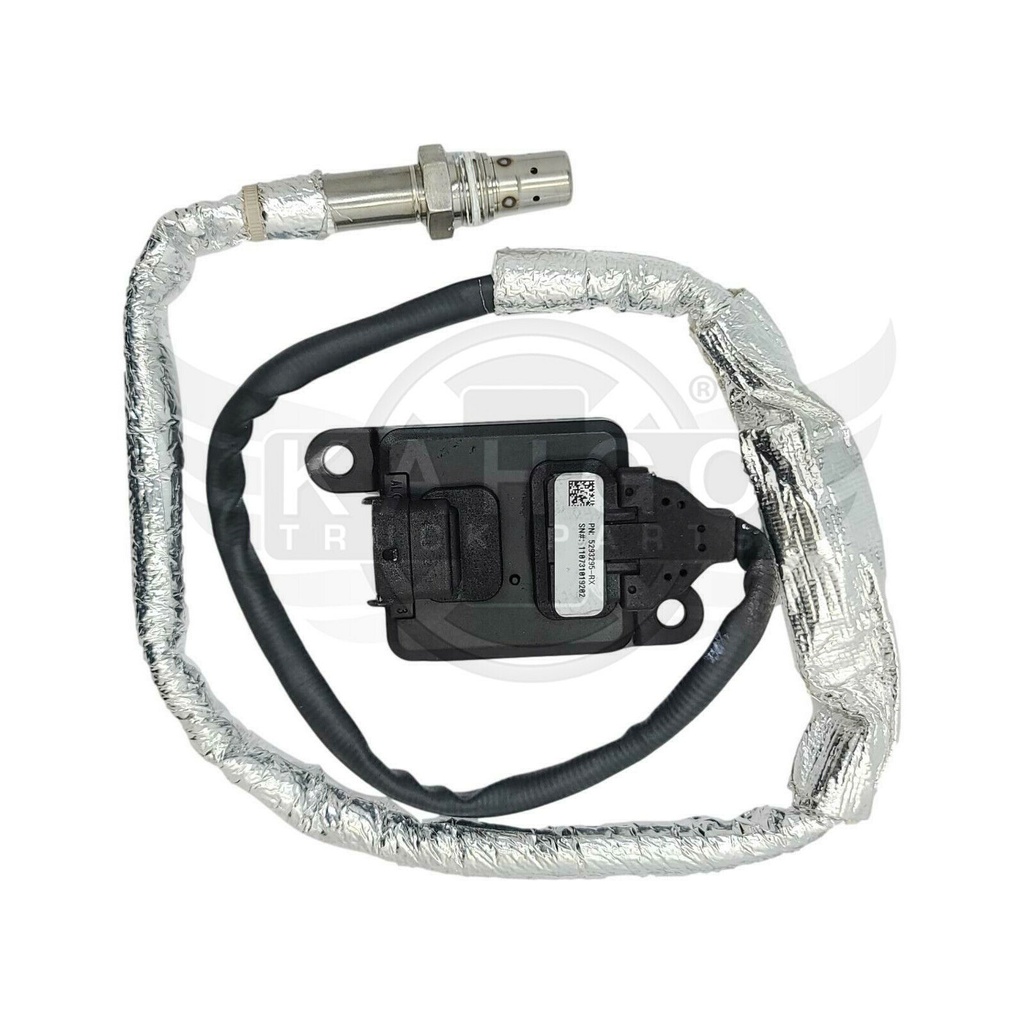 Image-1