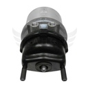 Image-3