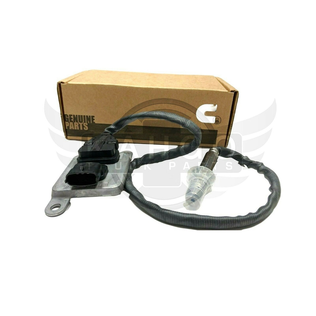 Image-2