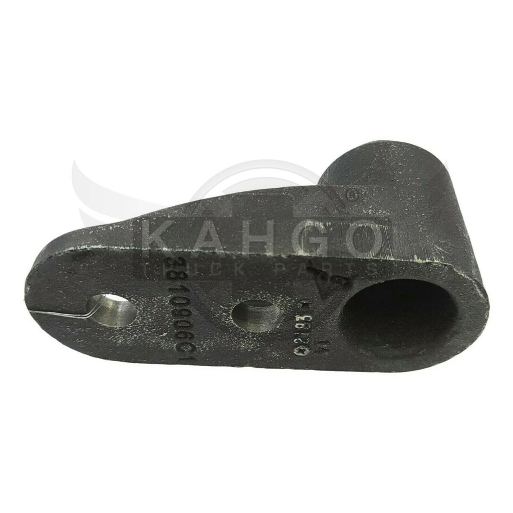 Image-1