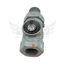 Image-1
